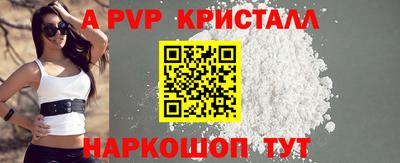 герыч Кингисепп