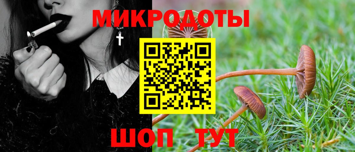 Королёв  Псилоцибиновые грибы прущие грибы  Вход с VPN 